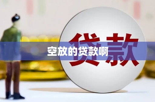南长空放的贷款啊